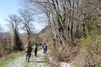 Monte cucuzzo  Aprile 2018 (7)